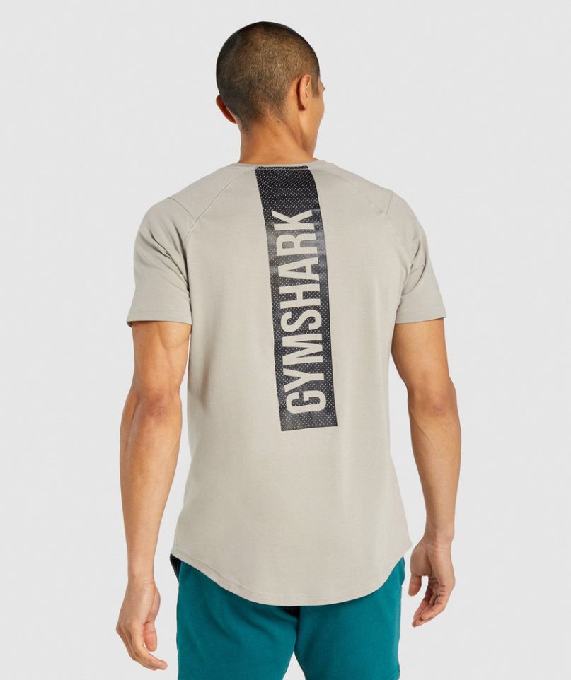 Men's Gymshark Bold T-Shirts Grey | CA 0N8AD7